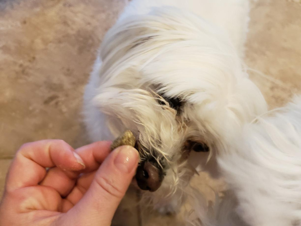 What does it look like Zesty Paws Calming Bites 1