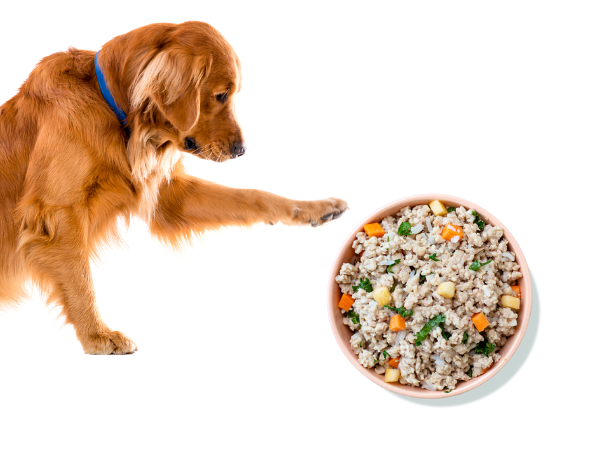 A Pup Above Dog Food Review (Fresh) photo 1