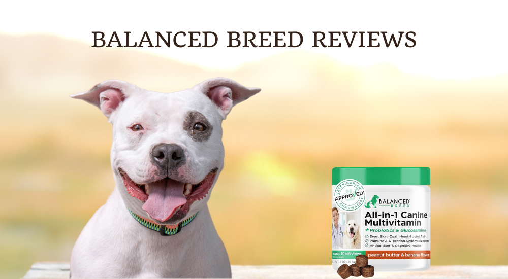 Balanced Breed photo