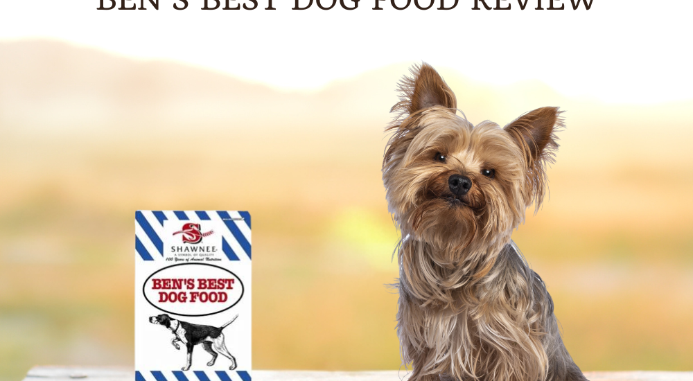 Ben’s Best Dog Food Review photo