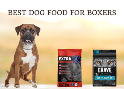 Best Dog Food For Boxers photo