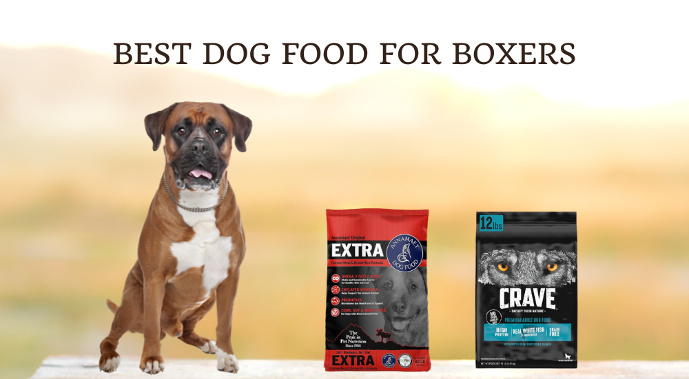 Best Dog Food For Boxers photo