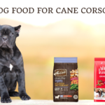 Best Dog Food For Cane Corso Puppy photo