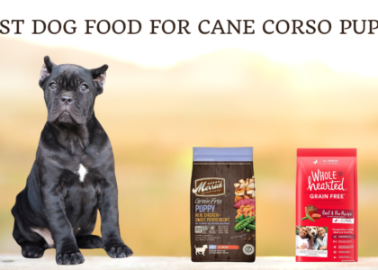 Best Dog Food For Cane Corso Puppy photo