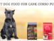 Best Dog Food For Cane Corso Puppy photo