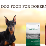 Best Dog Food For Dobermans photo 2024 photo