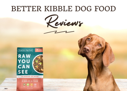 Better Kibble Dog Food Review photo