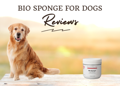 Bio Sponge For Dogs photo