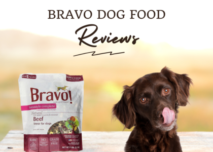 Bravo Dog Food Review photo