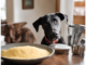 Can Dogs Have Grits photo