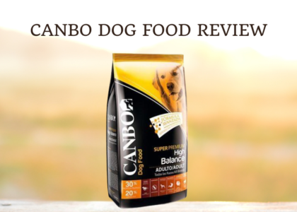 Canbo Dog Food Review photo