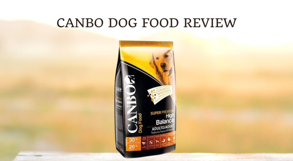 Canbo Dog Food Review photo