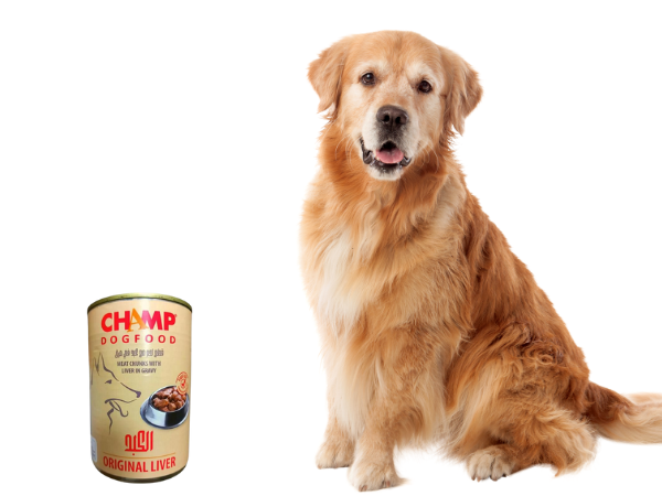 Champ Dog Food Review photo 1