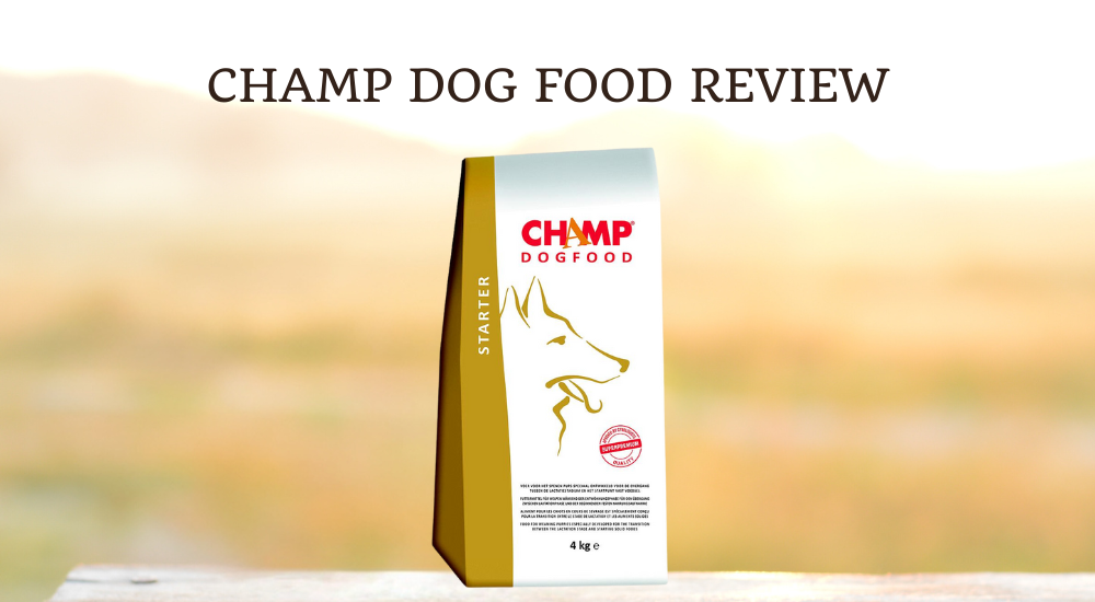 Champ Dog Food Review photo