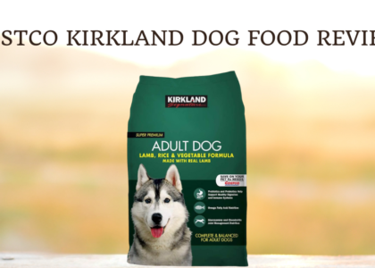 Costco Kirkland Dog Food Review photo