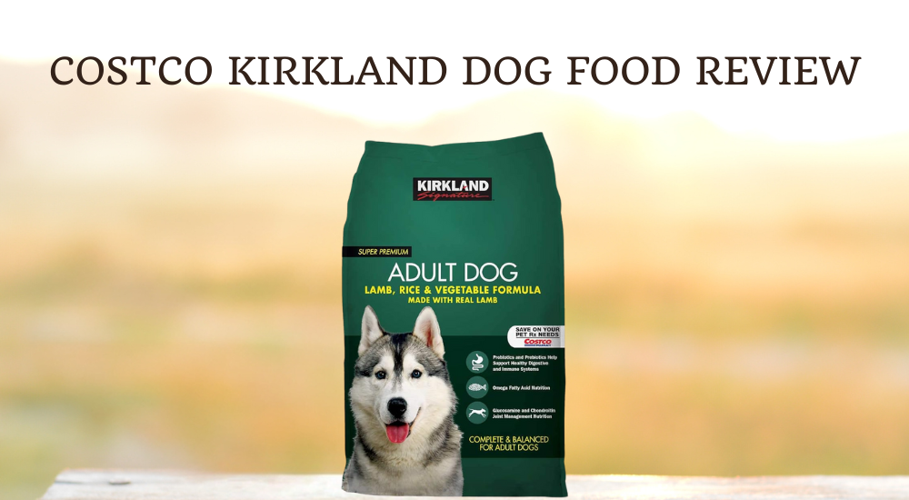 Costco Kirkland Dog Food Review photo