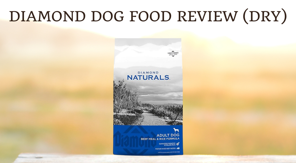 Diamond Dog Food Review (Dry) photo