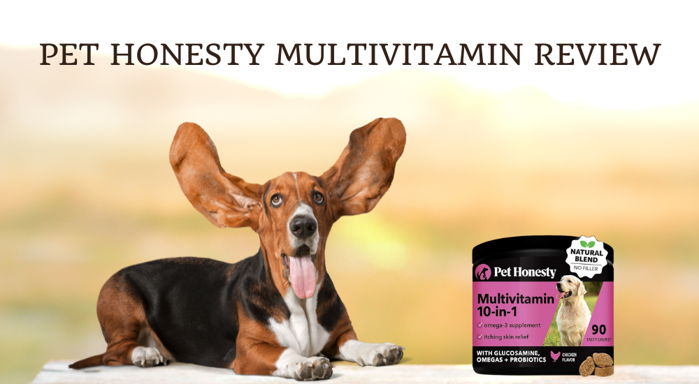 Pet Honesty Multivitamin photo